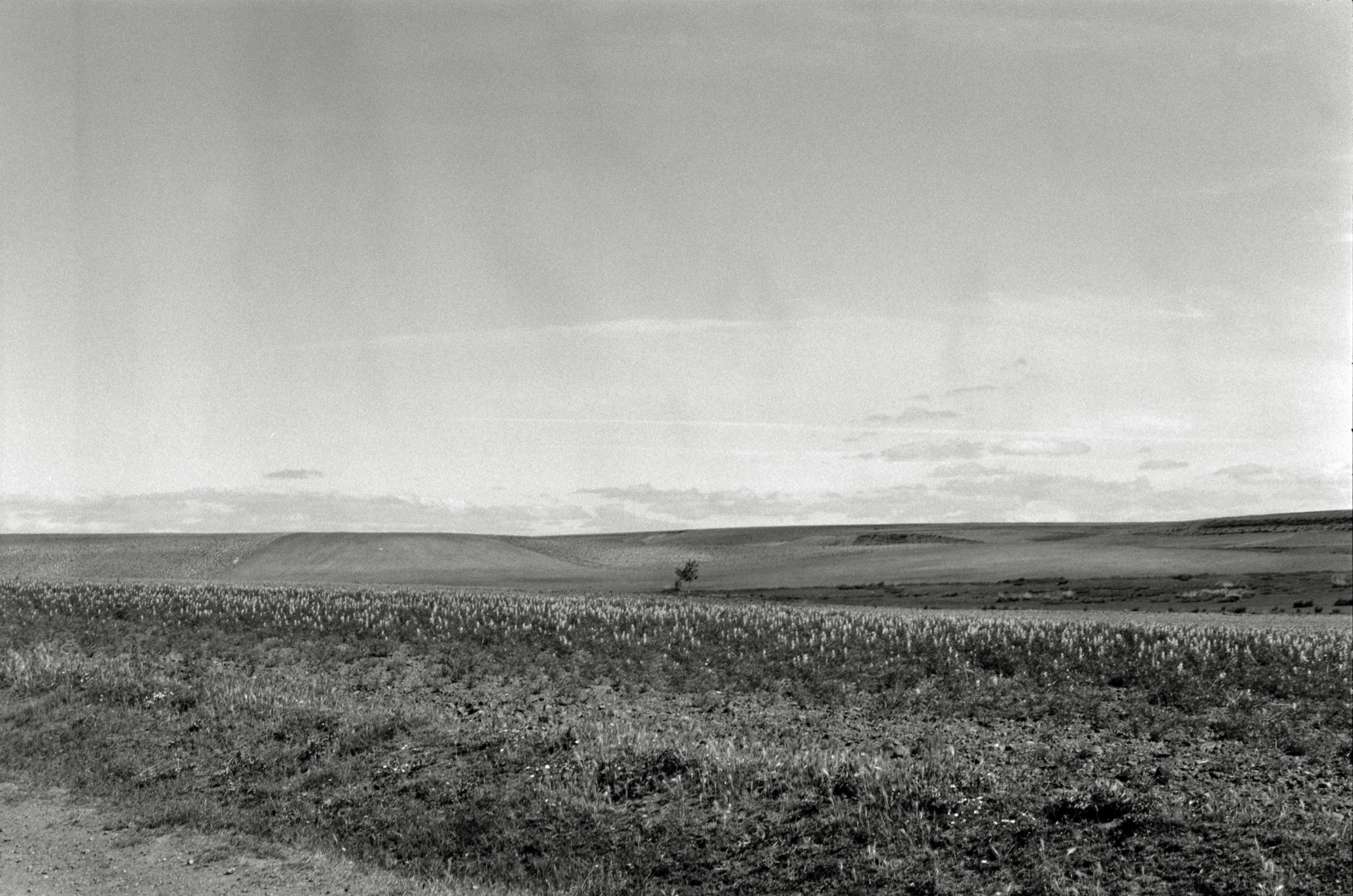 AHP F1995 05 009 sc240826 img15 NLP